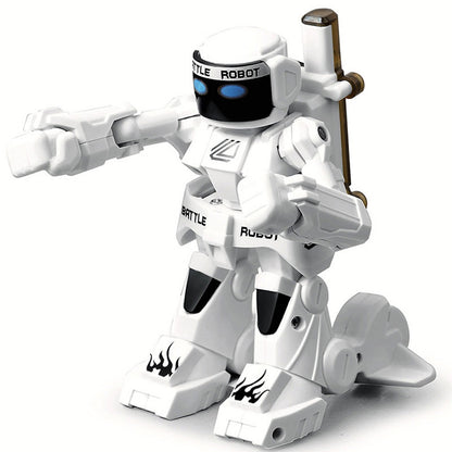 Remote Control Combat Robot